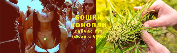 марки lsd Бородино