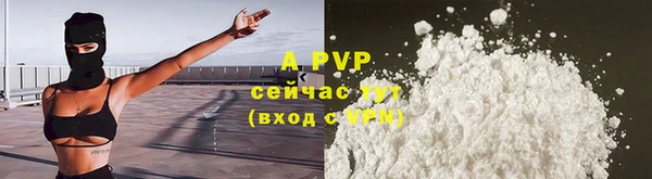 марки lsd Бородино