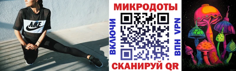 Галлюциногенные грибы Psilocybe  Приволжский 